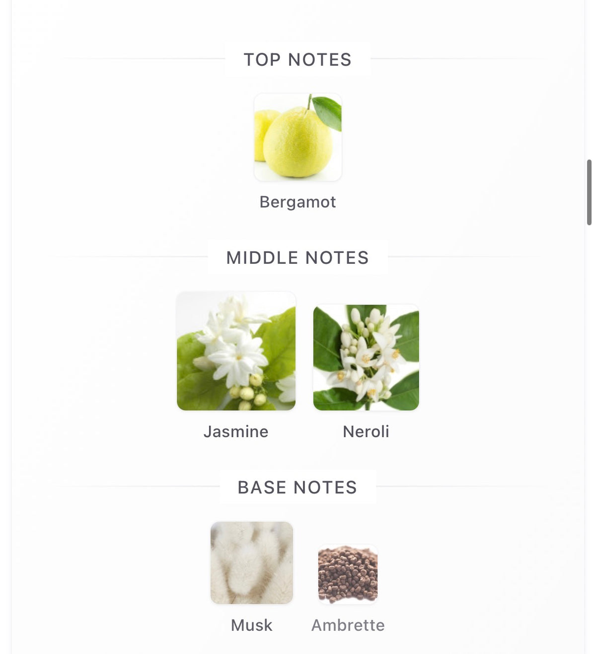 Prada Paradoxe Virtual Flower - Inspired Fragrance (W) Type
