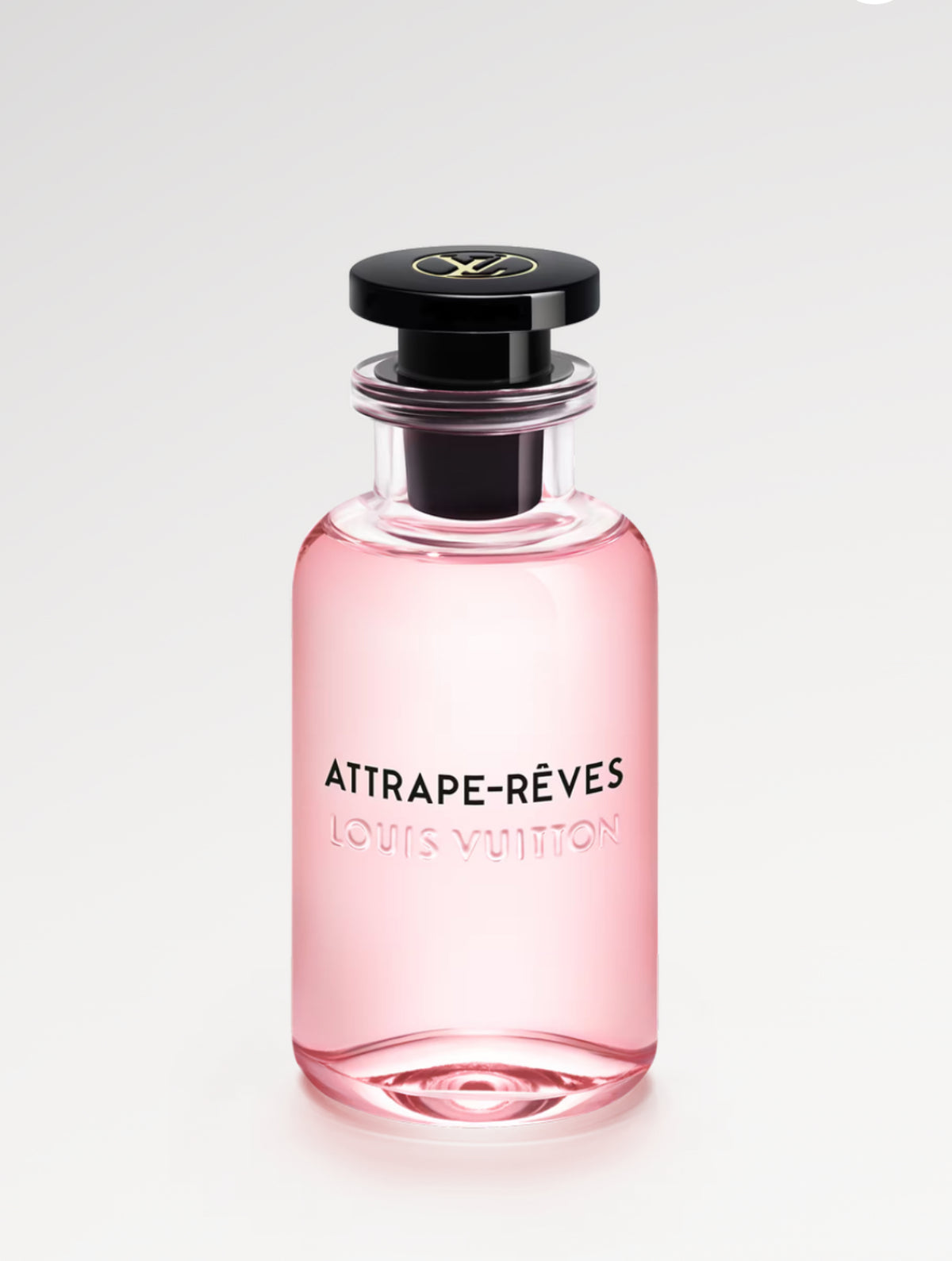 Louis Vuitton Attrape-Revés Inspired