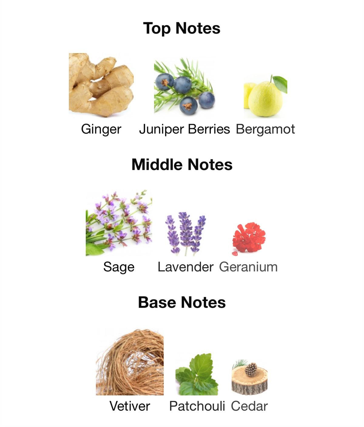 YSL Y - Inspired Fragrance (M) Type