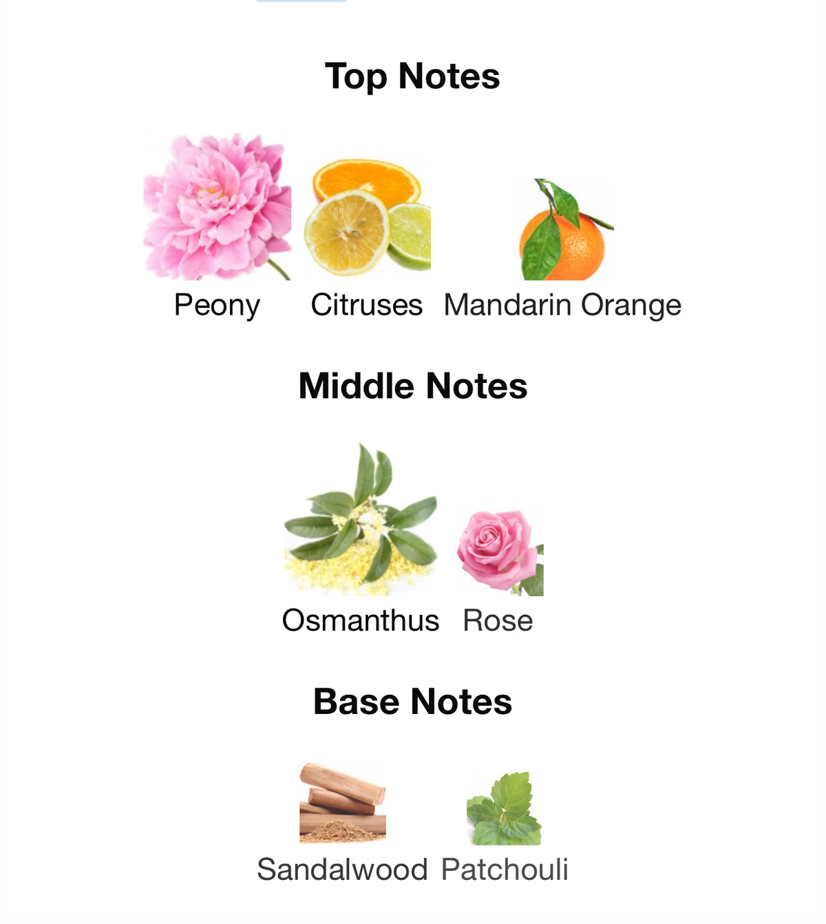 Gucci Flora - Inspired Fragrance (W) Type