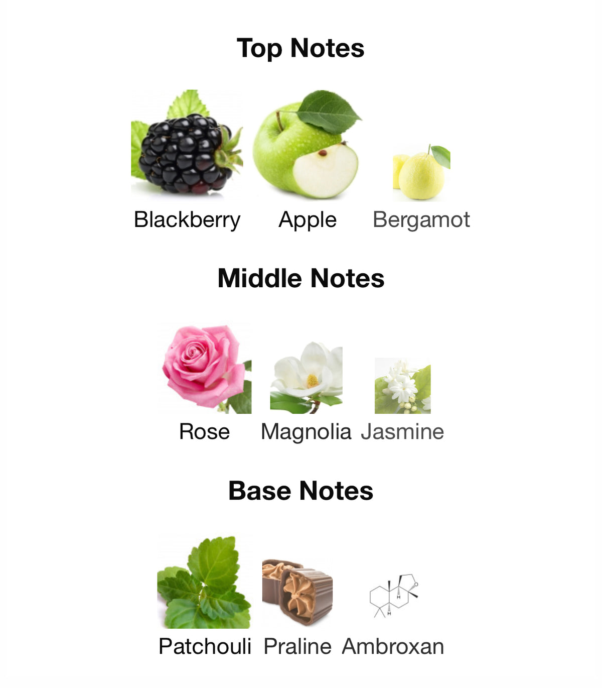 Bond No. 9 Madison Avenue - Inspired Fragrance (W) Type