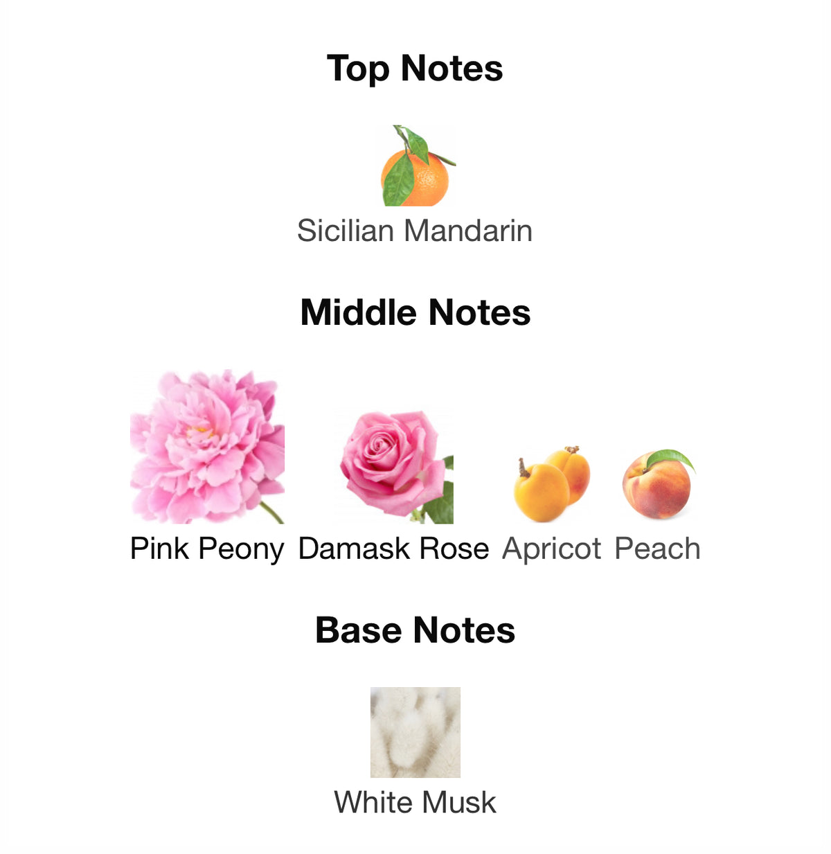 Dior Miss Dior Blooming Bouquet - Inspired Fragrance (W) Type
