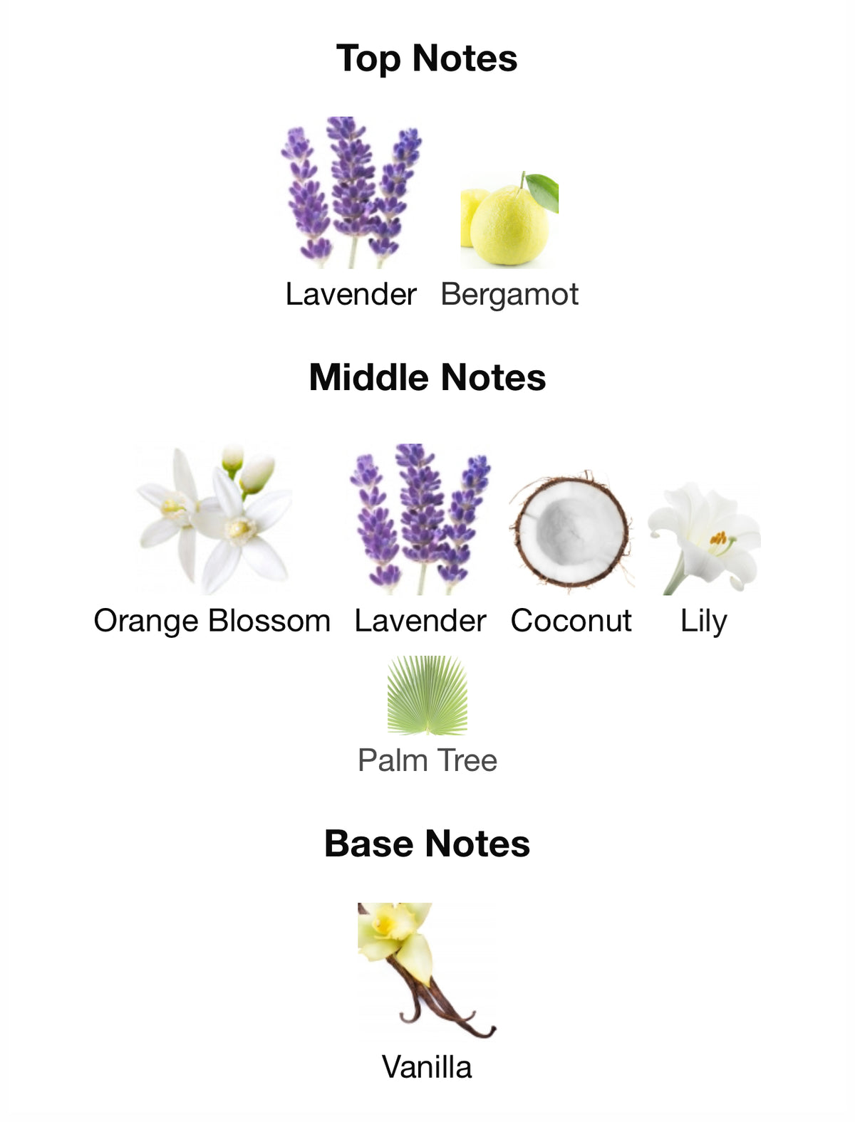 YSL Libre Flowers & Flames - Inspired Fragrance (W) Type