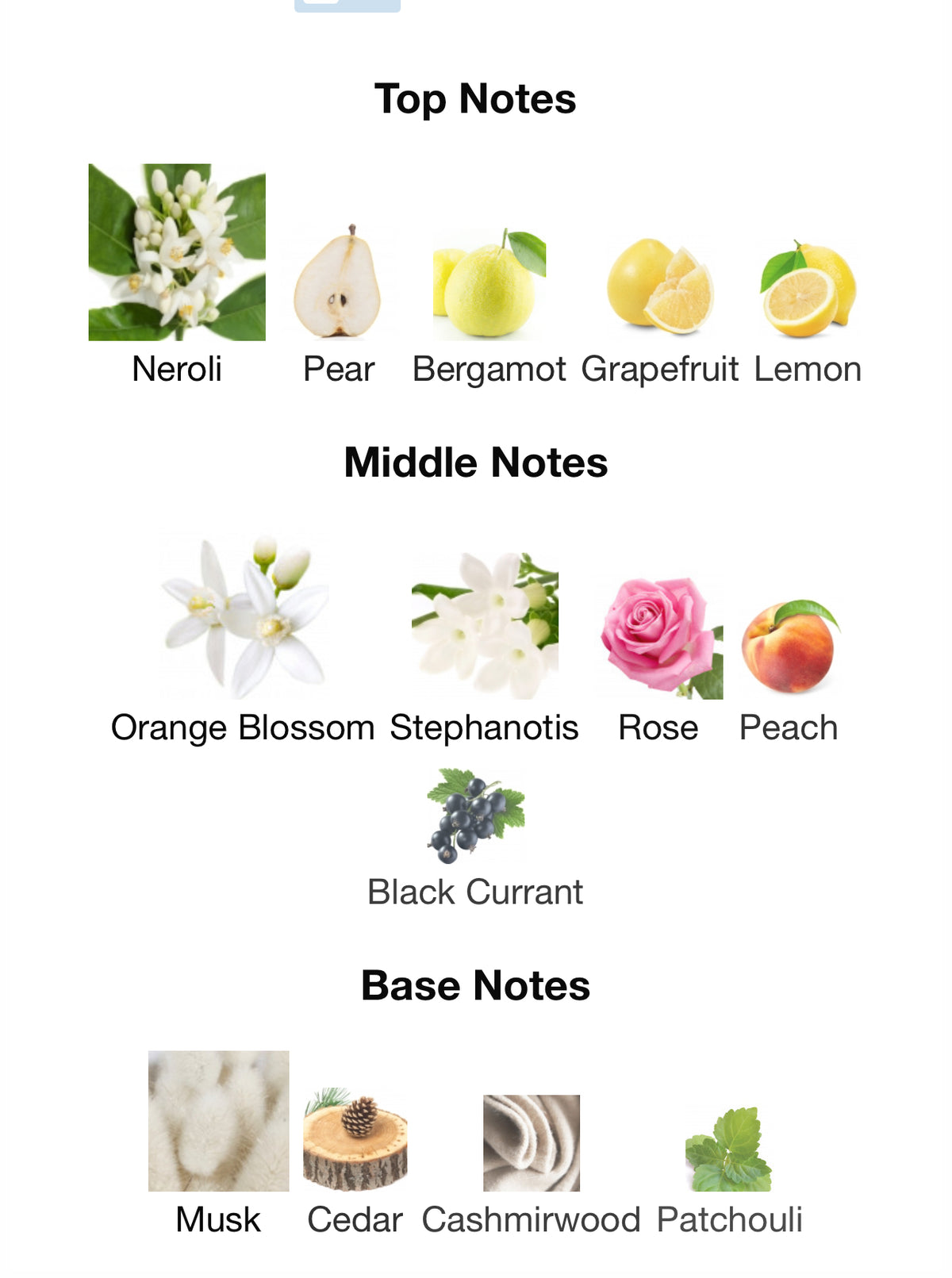 Chloe Love Story - Inspired Fragrance (W) Type