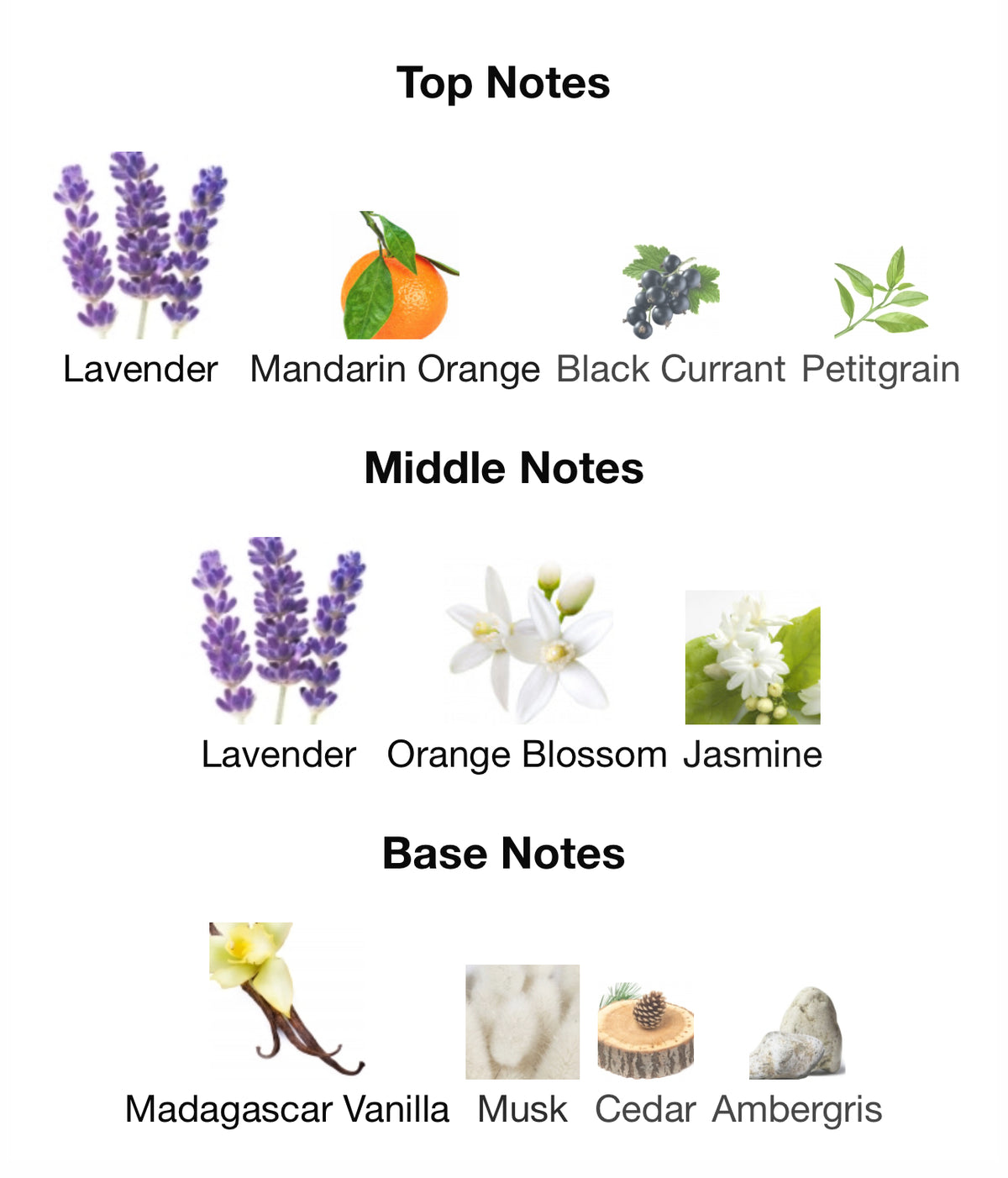 YSL Libre - Inspired Fragrance (W) Type