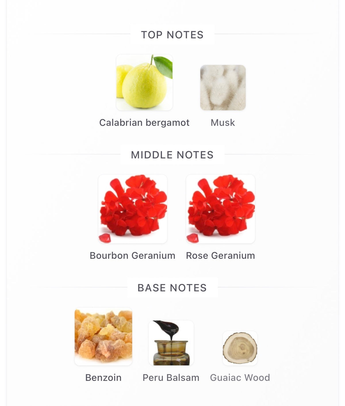Prada Paradigme - Inspired Fragrance (M) Type