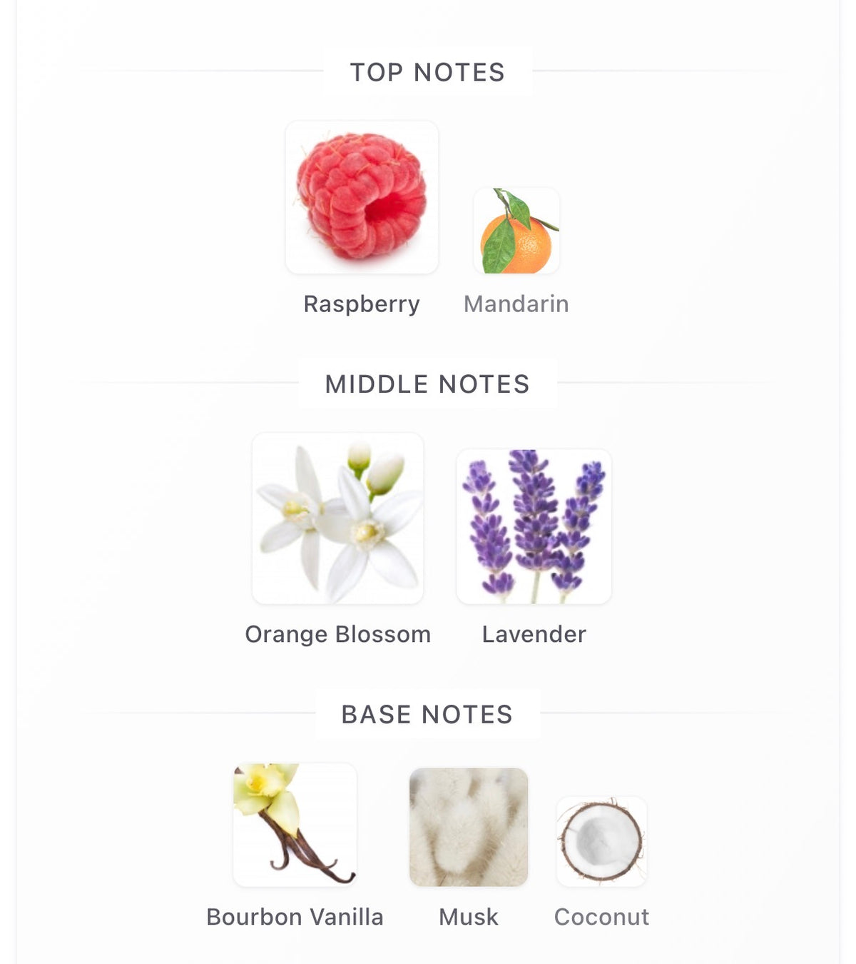YSL Libre Berry Crush - Inspired Fragrance (W) Type