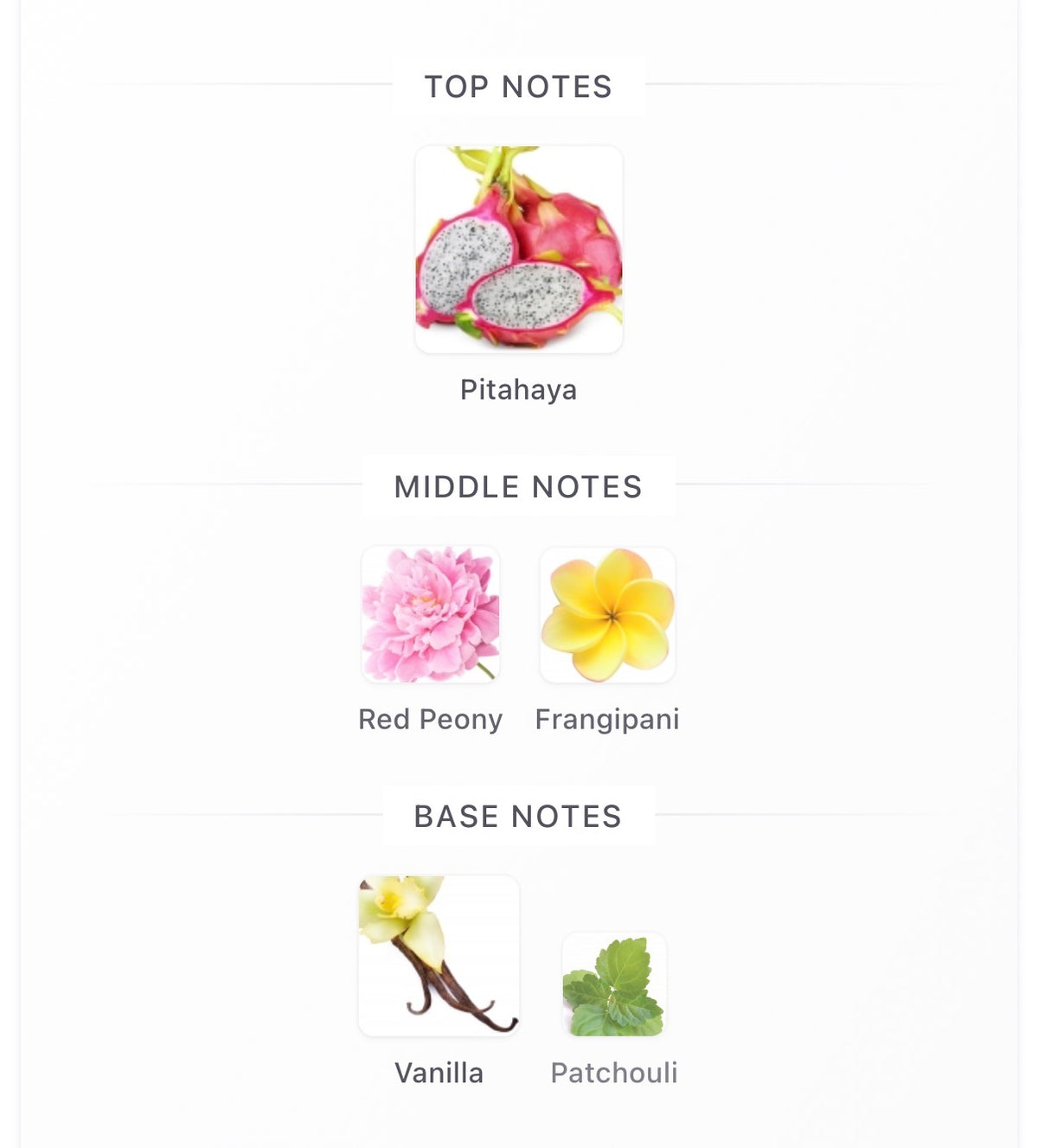 Carolina Herrera La Bomba - Inspired Fragrance (W) Type